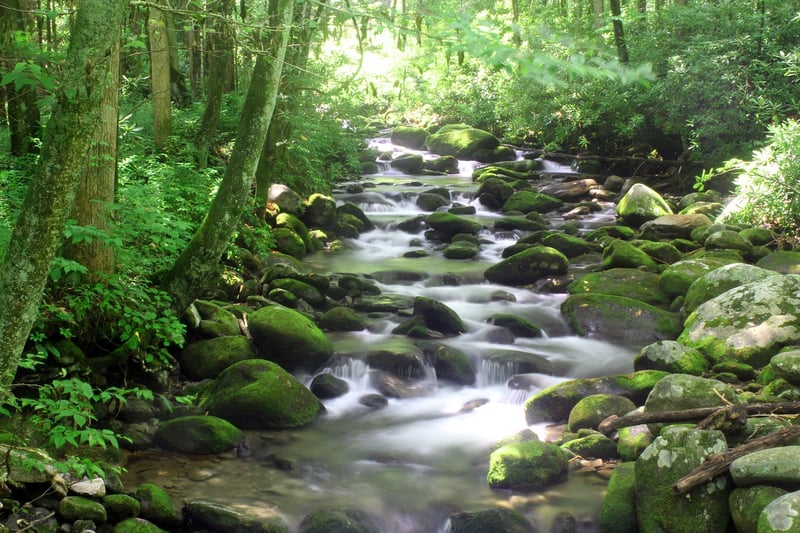 Smoky Mountains, Tennessee